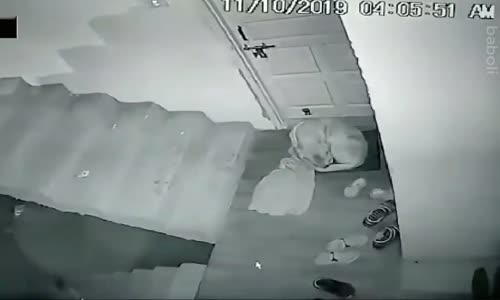 Leopar Saldırısından Yırtamayan Köpek