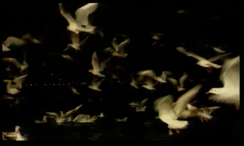 Ferdi Tayfur - Sabahçı Kahvesi