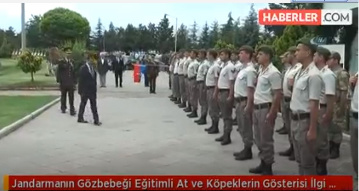 Jandarmanın Gözbebeği Eğitimli At ve Köpeklerin Gösterisi İlgi Gördü