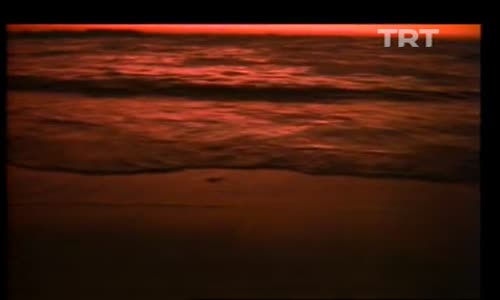 Nalan Altınörs-Biraz Geç Kalmadın Mı 