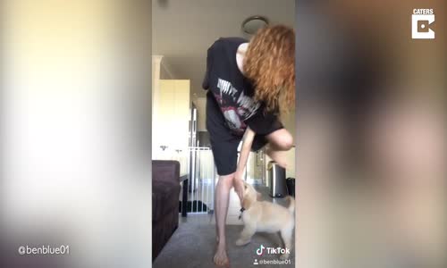 Sahibinin Twerk Yapmasını İstemeyen Köpek 