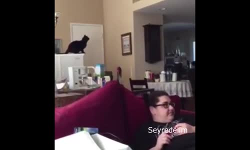 KEDİ VAR -Ama  Çok Tatlı 