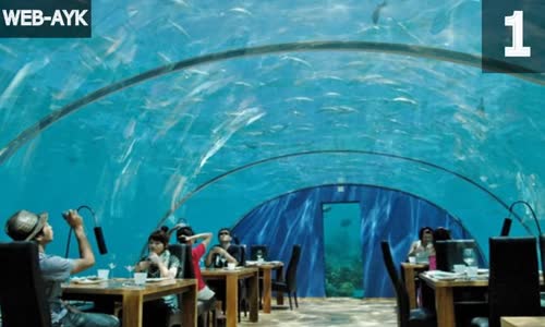 Dünyanın En İlginç 10 Restoranı