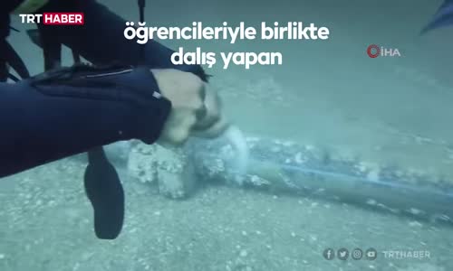Antalya'da lokum balığı iğnelerden böyle kurtarıldı