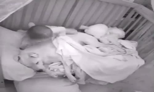 Kelimelerle anlatılamayan fedakarlık ve karşılıksız sevgi.....