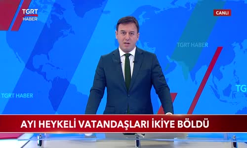Ayı Heykeli Bolu'daki Vatandaşları İkiye Böldü 