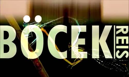 Zehirsiz Yılan Isırığı