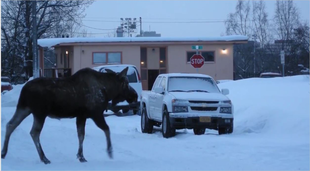 10 Fotoğraflı Tuhaf Bilgi - Oha Diyorum