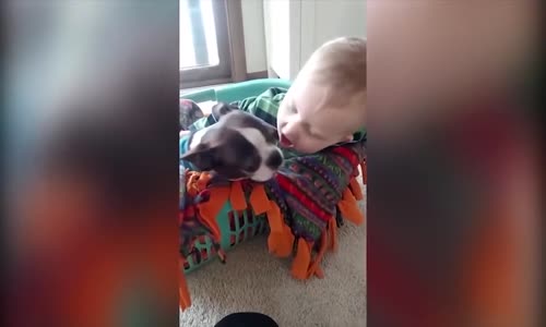 Komik Çocuk Videoları