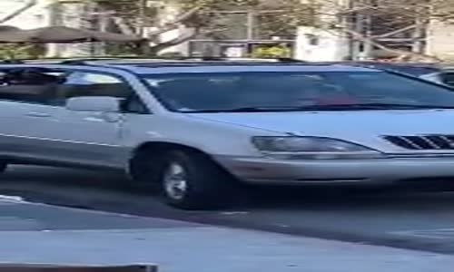 Sıkılan Köpek Sahibini Korna ile Çağırdı