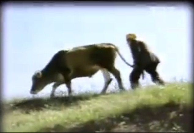 Gezelim Görelim (Kütahya)