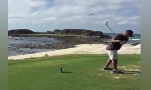 Golf Oynarken Kuşu İndiren Adam
