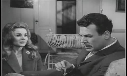 Tuzağa Düşürdüler Bizi