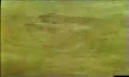 Yusuf İslam - Taleal Bedru Aleyna