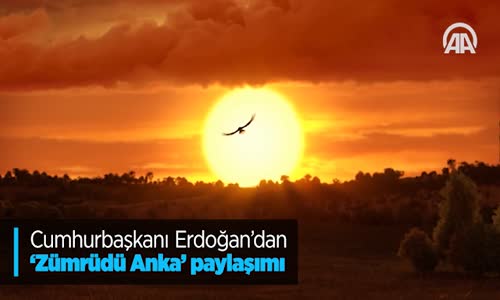 Cumhurbaşkanı Erdoğan'dan 'Zümrüdü Anka' Paylaşımı