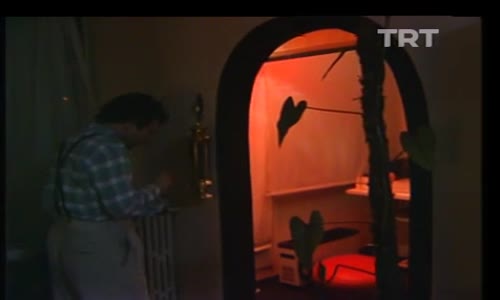 Kayahan-Dalda Kiraz İzle