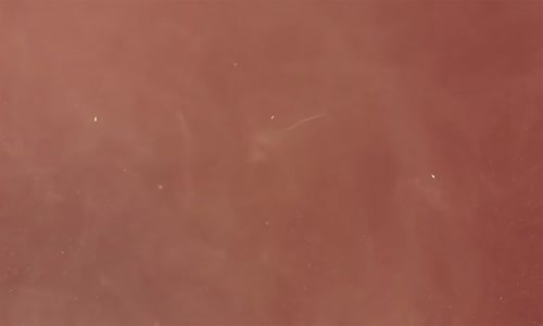 Sezen Aksu - Perişanım Şimdi (Lyrics - Şarkı Sözleri)