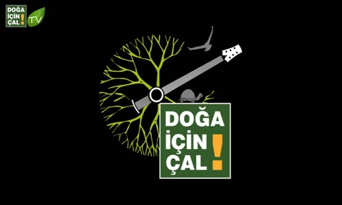 DOĞA İÇİN ÇAL 5 - BİTLİS'TE BEŞ MİNARE