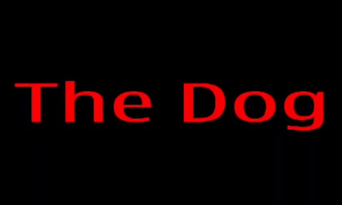 Köpek ile Tavuk seks