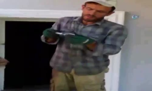 Kümesine Dadanan Çakala Nasihat Eden Yurdum İnsanı