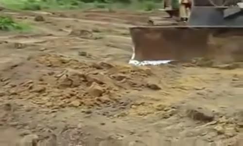 Tarla tesviyesi yapılırken greyder dev yılana takıldı