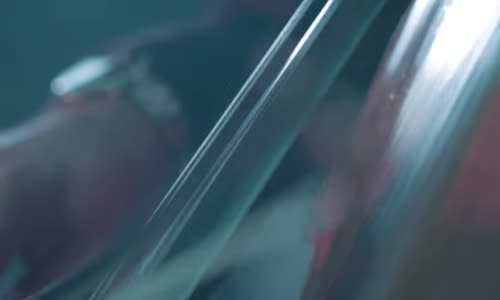 Bahar Sarıboğa - Gulo