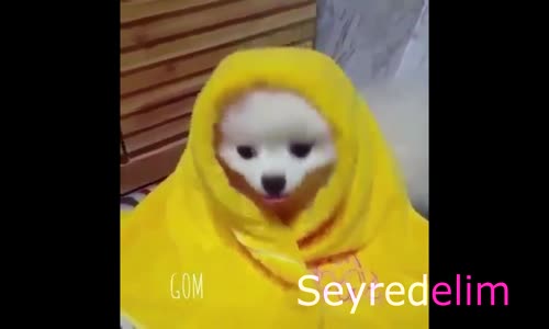 Haydi Güne Gülerek Başlayalım - 21