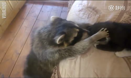 Oğlum Kalk İşe Gidicen