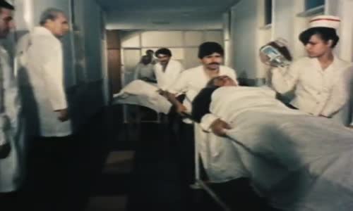 Hayat Köprüsü 1986