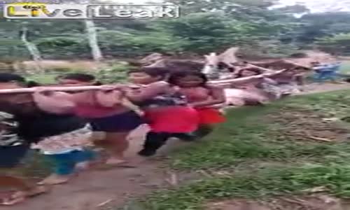 Bir aylık Yemek yakalayan mutlu kabile