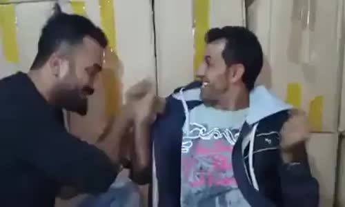 Ato İle Zeko - Evrim teorisi