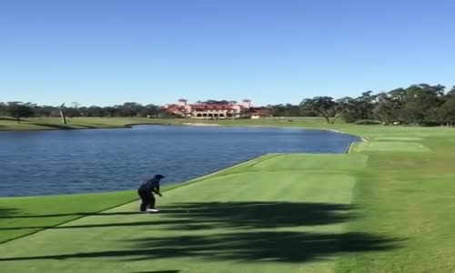 Yaptığı Vuruşla Ördeği Vurup Öldüren Golfçü