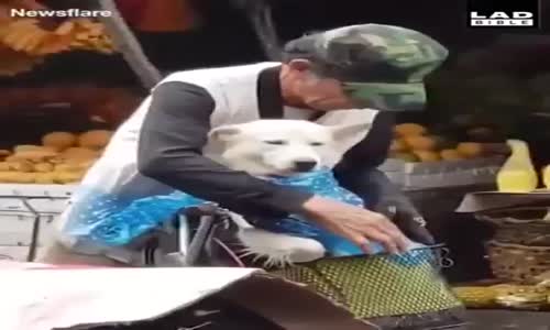 Bu tasarımı nasıl buldunuz?