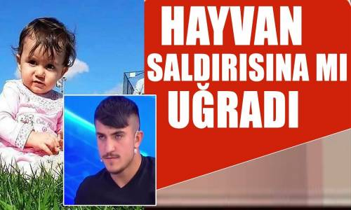 Ecrin Bebek Hayvan Saldırısıyla Mı Öldü