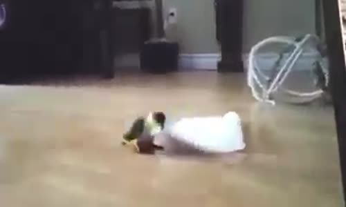 Möddün'ün Cücüü