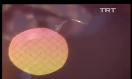 Muazzez Abacı-Artık Bu Solan Bahçede Bülbüllere Yer Yok izle