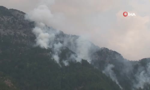 Alanya’daki orman yangını kısmen kontrol altına alındı 