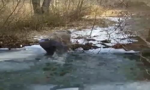 Merdivenden Köprü Olmaz