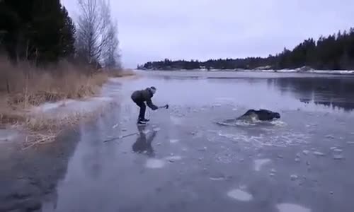 Yaptıklarıyla Saygıyı Hak Ediyor 