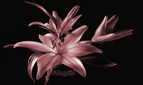 Hüseyin Altın - Böyle Köpürecek Taşacakmısın