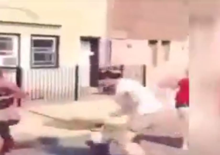 Kavga sırasında köpeğini sopa olarak kullandı