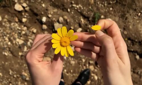 SENSİZ OLAMAM - Turgay Alparslan  İZLE..