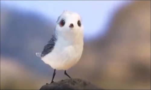 Piper Kıssa Animasyon