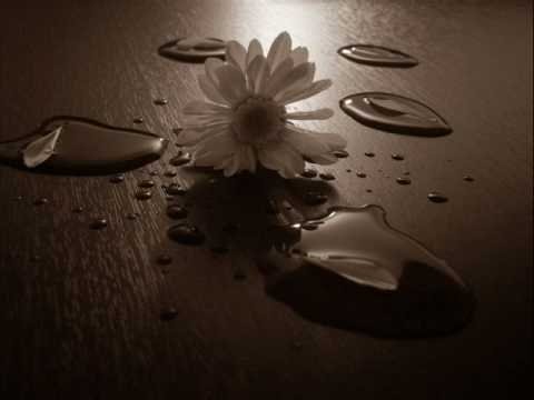 Ali Kınık - Çal Kemancı