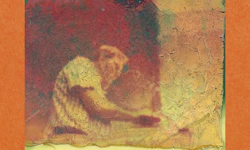 Şaşırtma Garantili 49 Fotoğraflı İlginç Bilgi