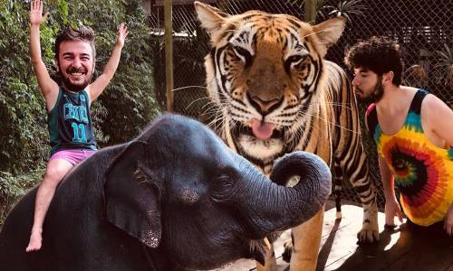 Dört Kaplanın Arasında Kalmak !! ( ???????? Tayland'da Bir Gün )