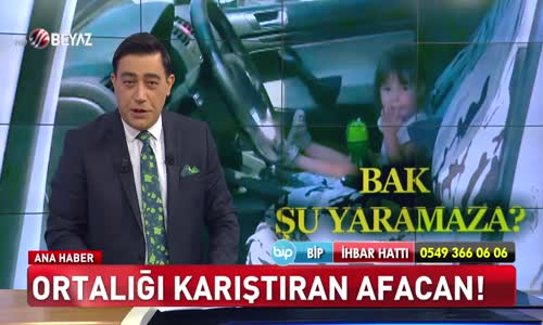 Ortalığı karıştıran afacan!