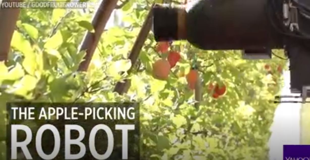 Yeni Elma Toplama Robotuyla Tanışın