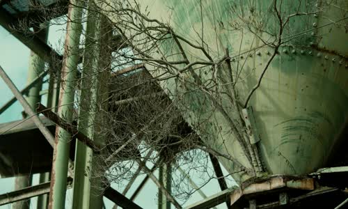 Plain Double - Bülbülüm Altın Kafeste