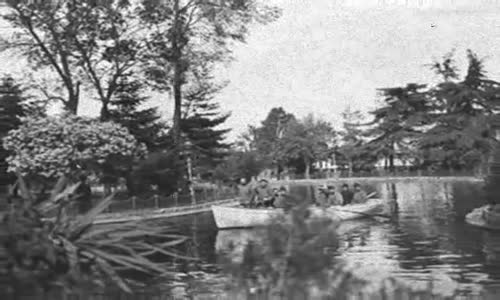 Ayva Cicek Acmis - Fasl-i Beyoglu